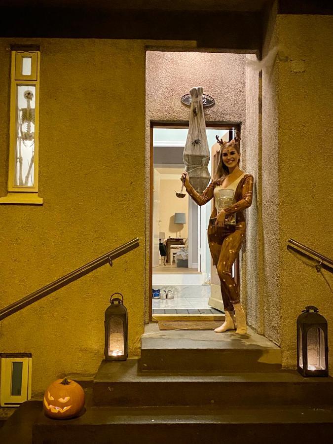 Casa Disa - Dreams, A Boutique Guesthouse In Reykjavik City'S Central Park And Botanical Garden In Laugardalur, Hot-Spring-Valley Екстериор снимка