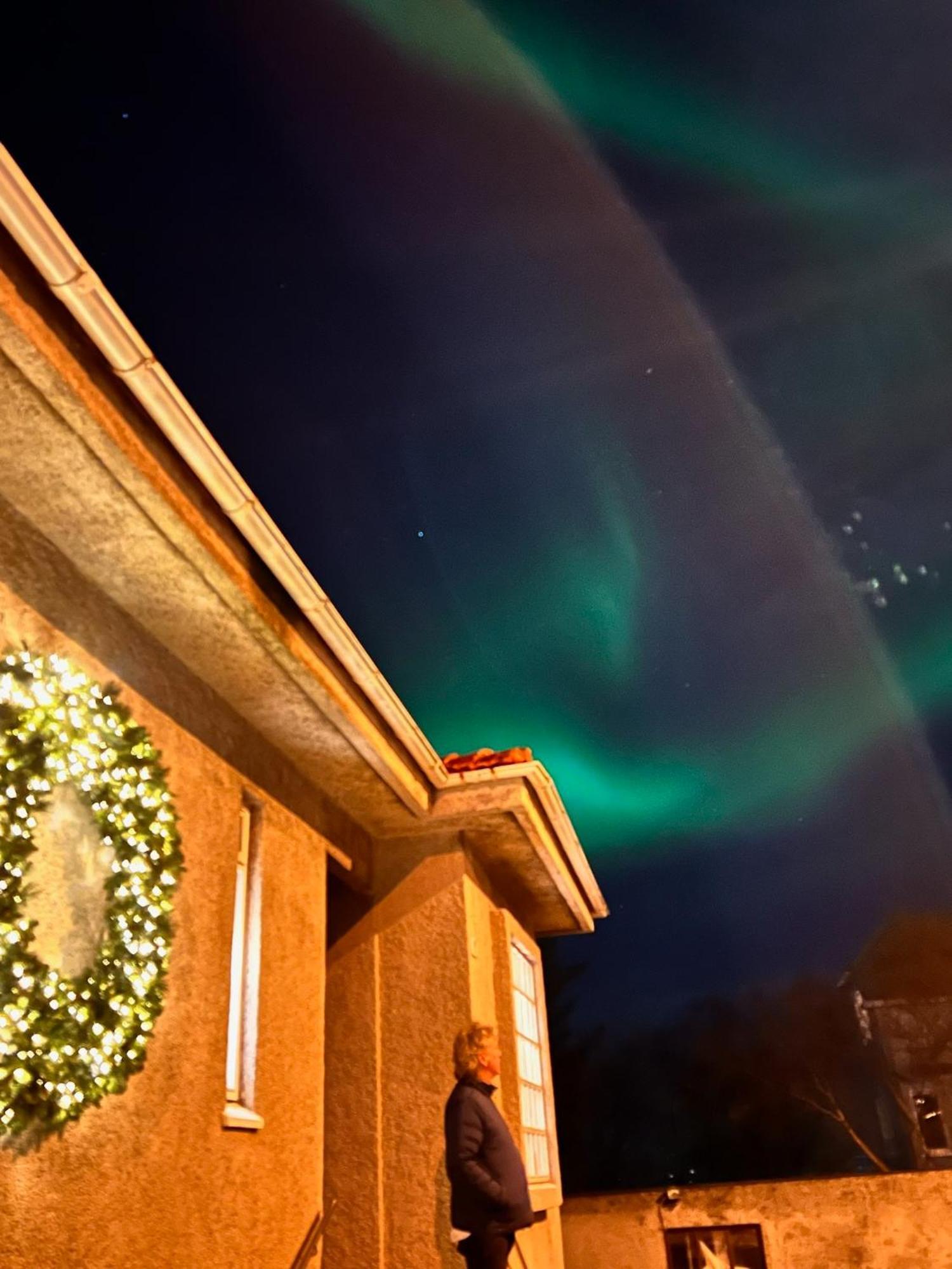Casa Disa - Dreams, A Boutique Guesthouse In Reykjavik City'S Central Park And Botanical Garden In Laugardalur, Hot-Spring-Valley Екстериор снимка