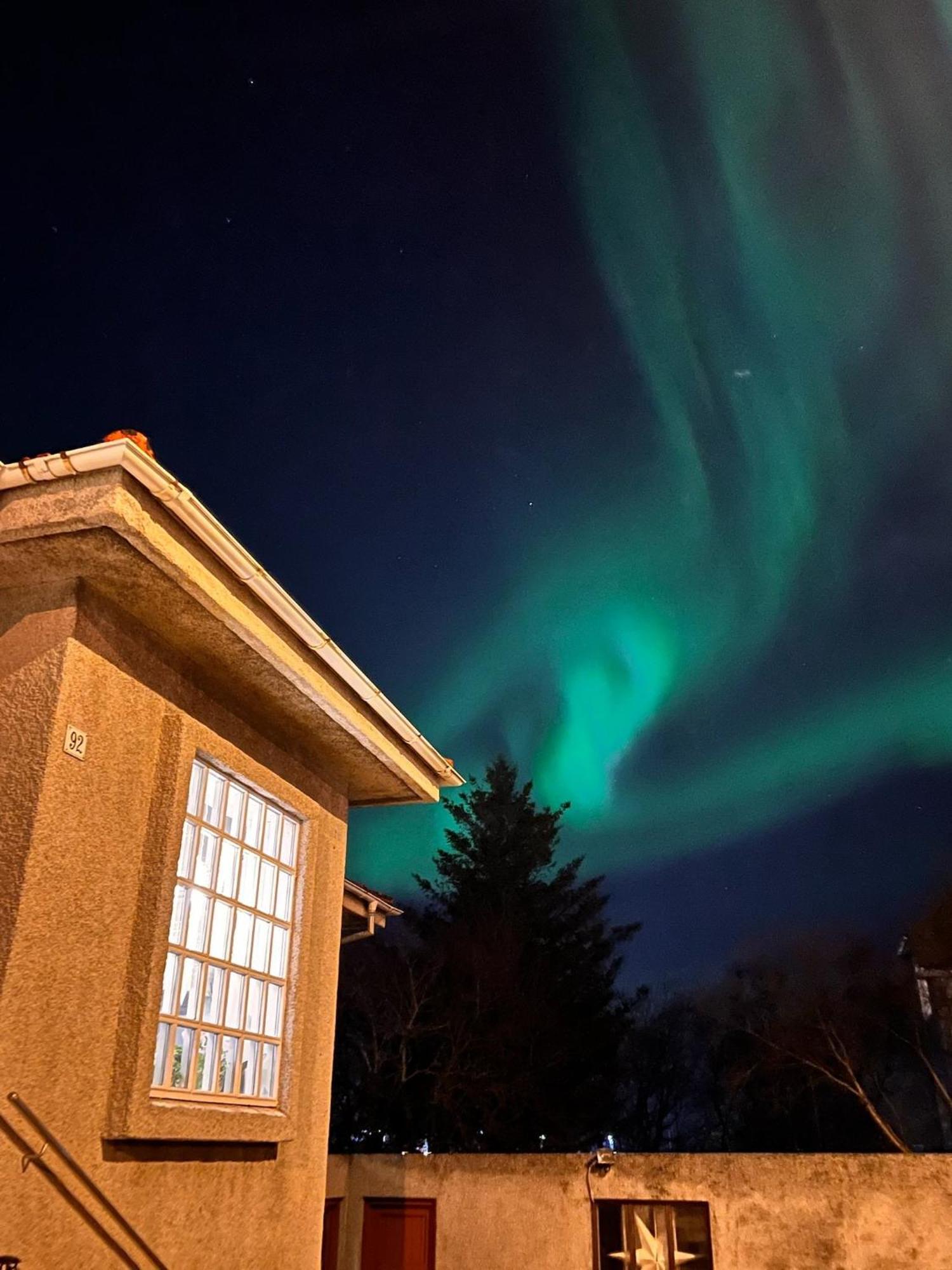 Casa Disa - Dreams, A Boutique Guesthouse In Reykjavik City'S Central Park And Botanical Garden In Laugardalur, Hot-Spring-Valley Екстериор снимка